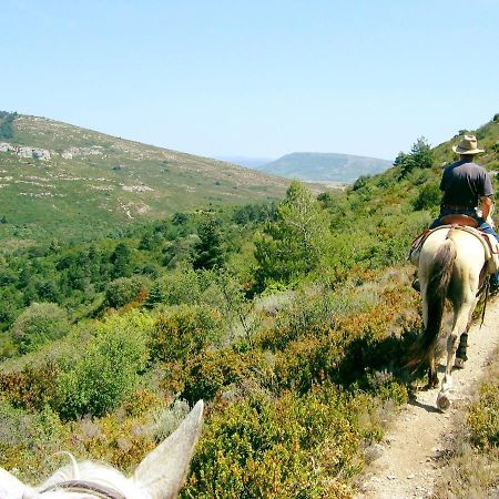 Studio Trivalle Carcassonne Zewnętrze zdjęcie